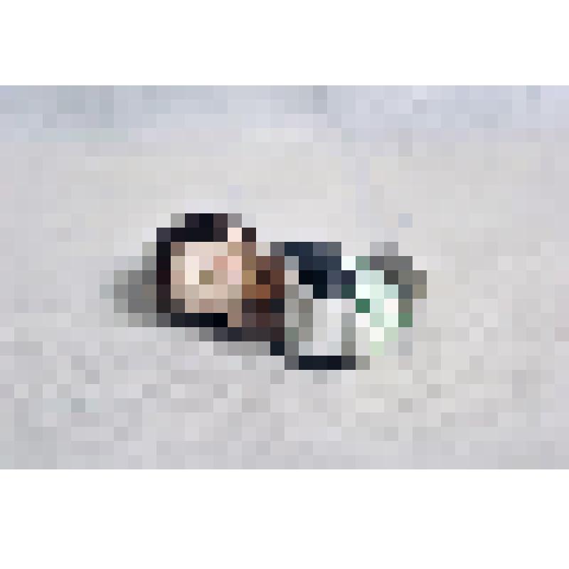 Стаммель курительной трубки в виде бюста Р. Блюма