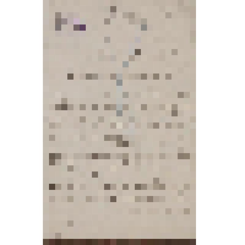 Колосов Константин Петрович. Письмо Островскому А. Н. о своём бенефисе в спектакле "Василиса Мелентьева"