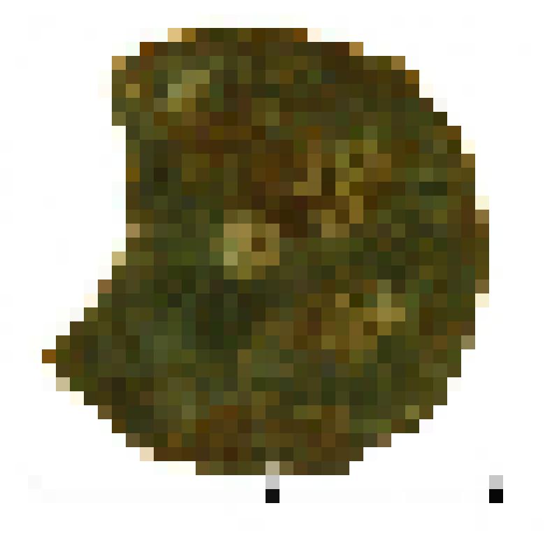 Бляшка