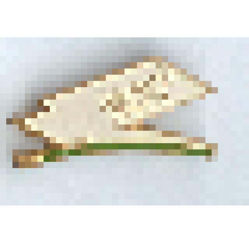 Значок нагрудный «Советский Сахалин»