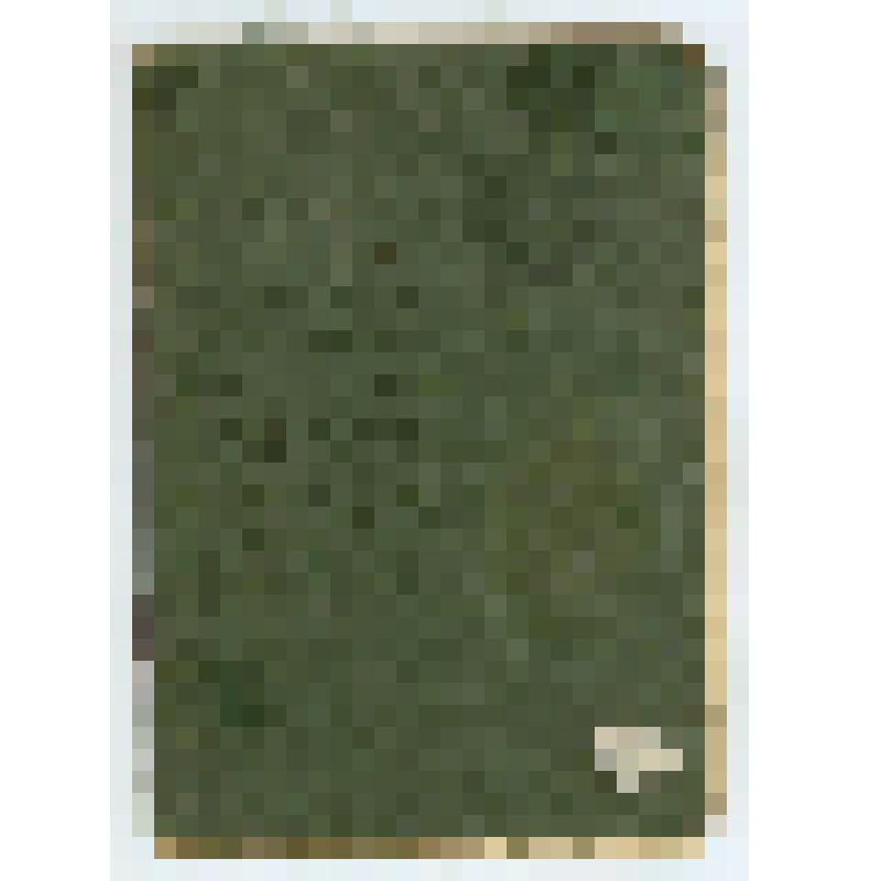 Паспорт VI-ТФ № 721326 Демпер Анны Петровны