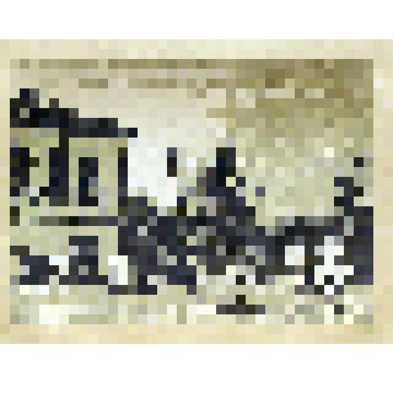 Дворик Данилова монастыря. Лист 18. Из альбома  "Уходящая Москва. Московские дворики". Экземпляр № 87