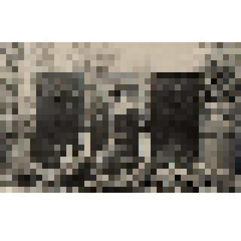 Фотография.  Памятник Герою Советского Союза И.В.Панфилову