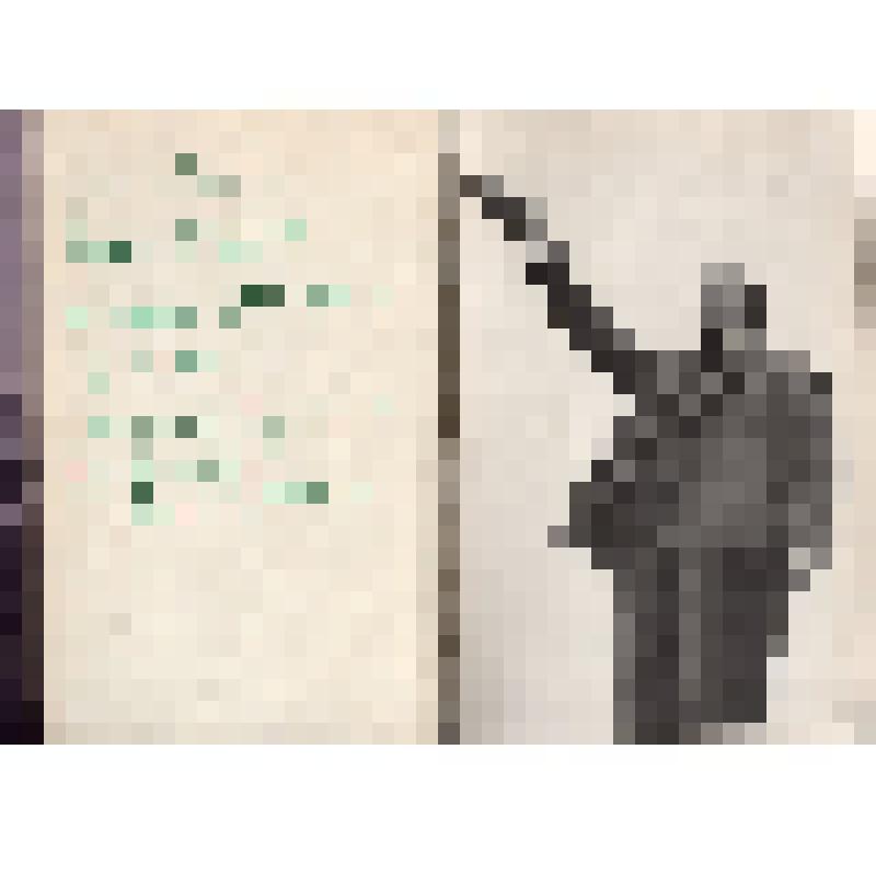 Книга. С.С.Лотоцкий «Армия Советская».
СССР, Москва, Политиздат, 1969 г., 446 с