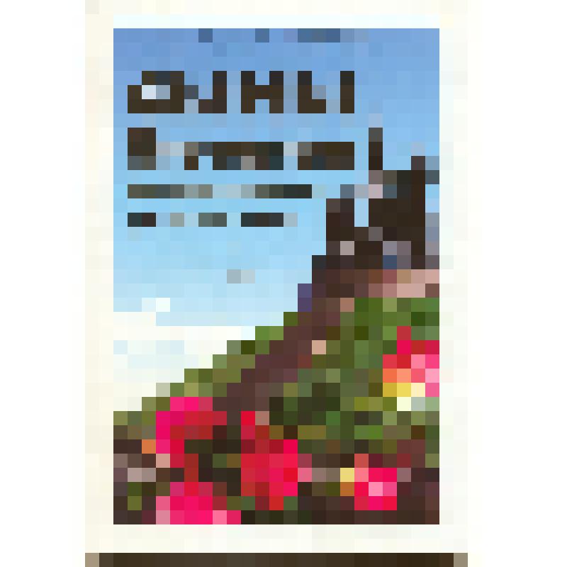 Книга "Сыны Отечества: воспоминания и размышления"/ Том 2