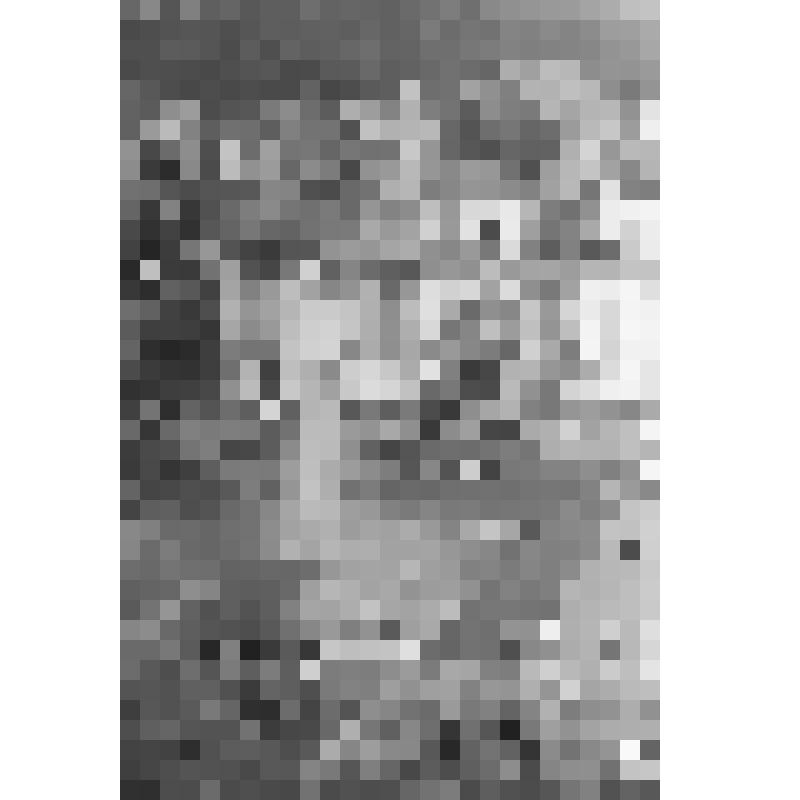 Негатив черно-белый. ВСХВ. Колхозная площадь (общий план)