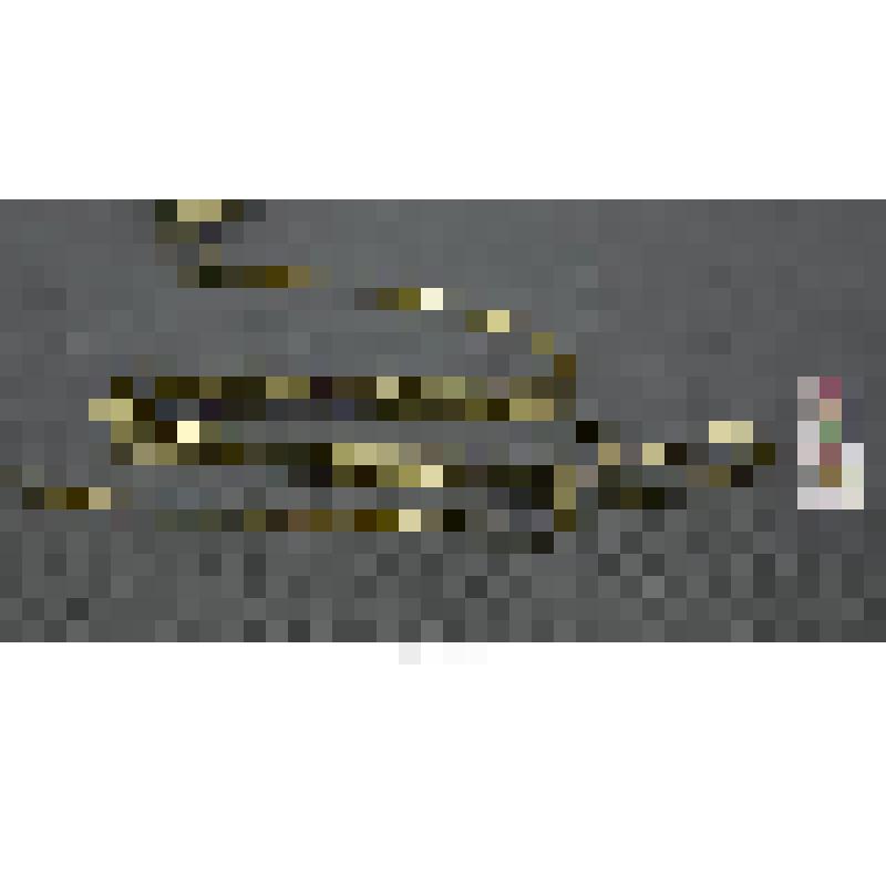 Панагия с цепью. Цепь к панагии