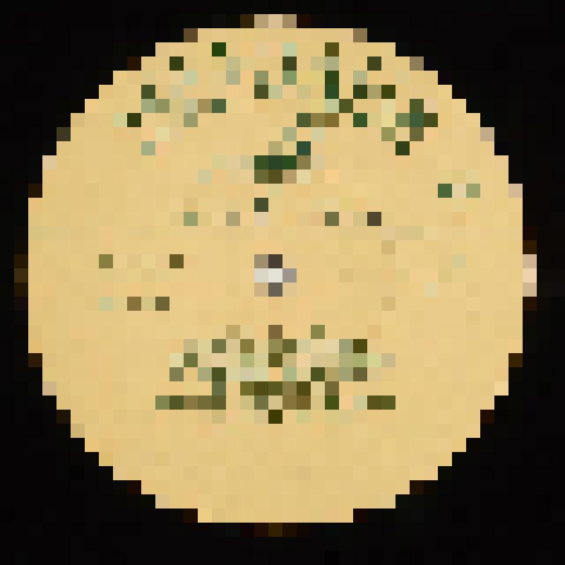 Грампластинка. Вагнер Р. Лоэнгрин, оп. в 3-х д.: 1 д.(оконч.), 2 д. /Исп. Больш. хор, Больш. симф. орк. BP и ЦТ, дир. С.Самосуд. И.Козловский (тенор, Лоэнгрин), Е.Шумская (сопрано, Эльза), Г.Троицкий (бас, Генрих),  И.Богданов (баритон), Е.Смоленская (соп