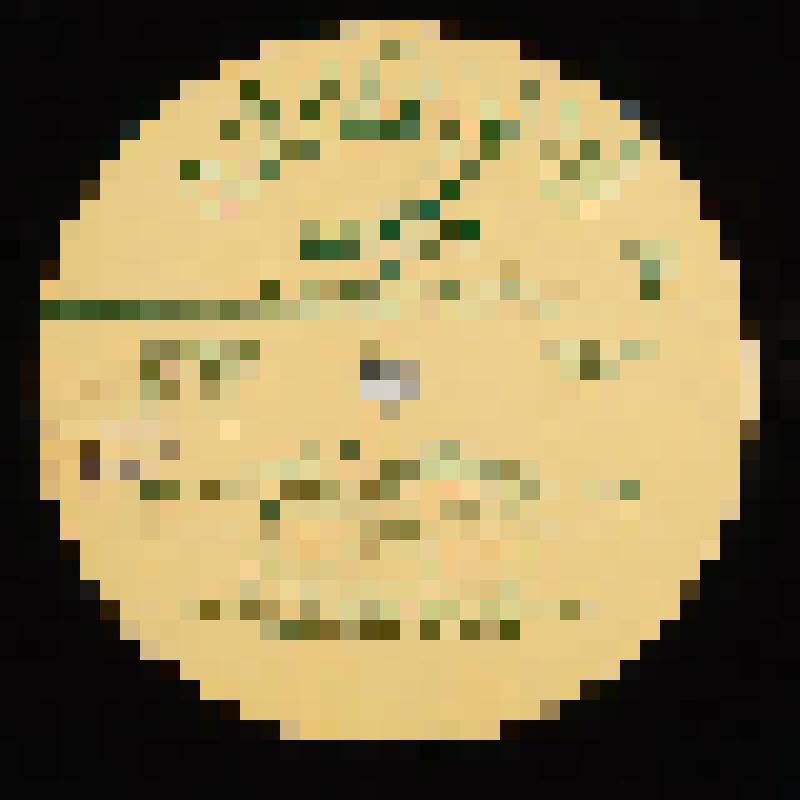 Грампластинка. Вагнер Р. Лоэнгрин, оп. в 3-х д.: 1 д.(оконч.), 2 д. /Исп. Больш. хор, Больш. симф. орк. BP и ЦТ, дир. С.Самосуд. И.Козловский (тенор, Лоэнгрин), Е.Шумская (сопрано, Эльза), Г.Троицкий (бас, Генрих),  И.Богданов (баритон), Е.Смоленская (соп