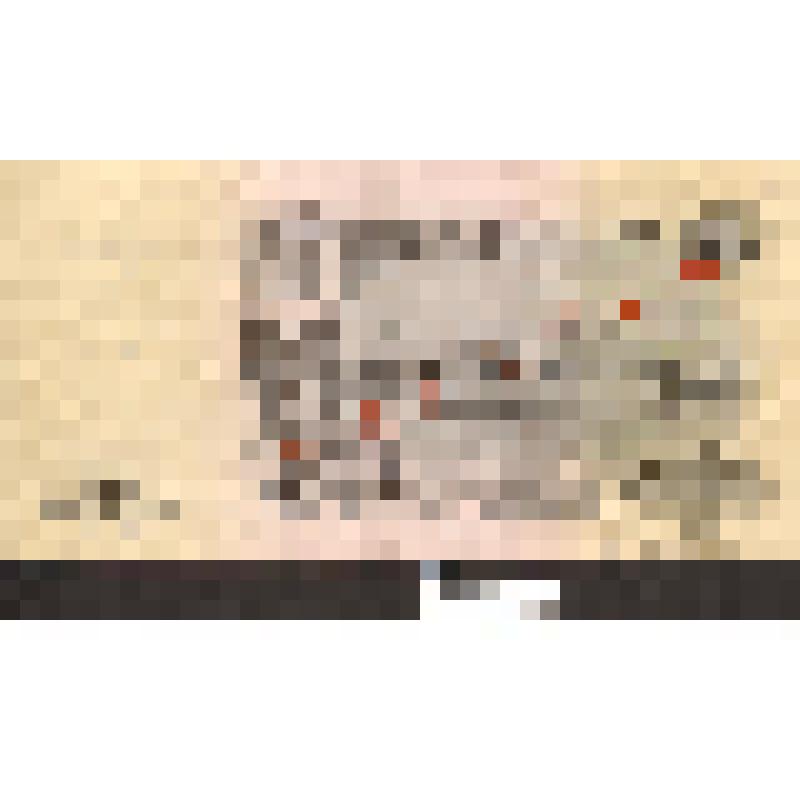 Билет Государственного Банка СССР достоинством "100 рублей". СССР, 1947 г. (1957)