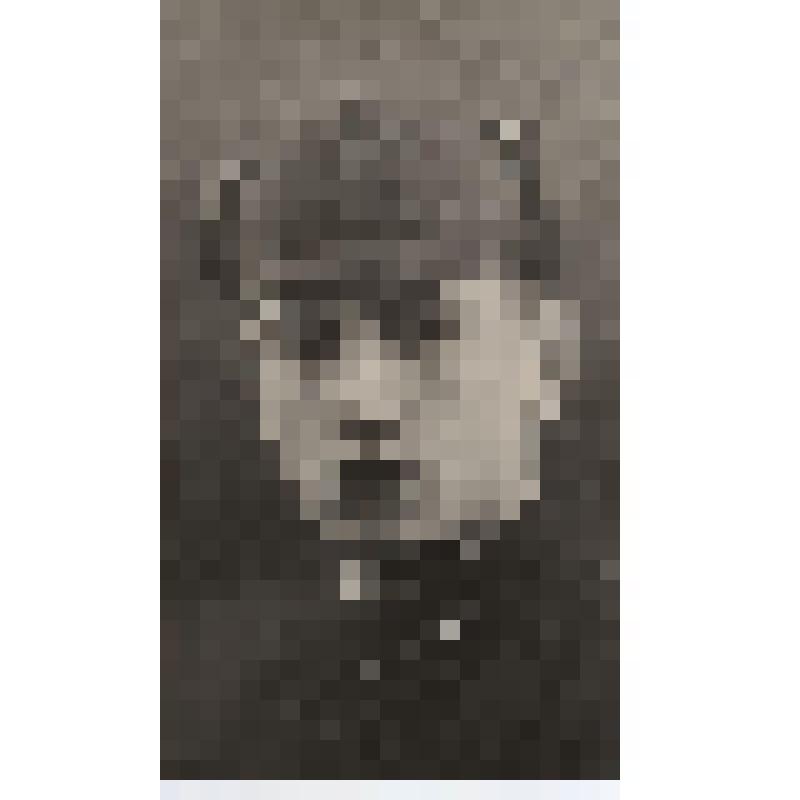 Фотография. Харин Вениамин Александрович