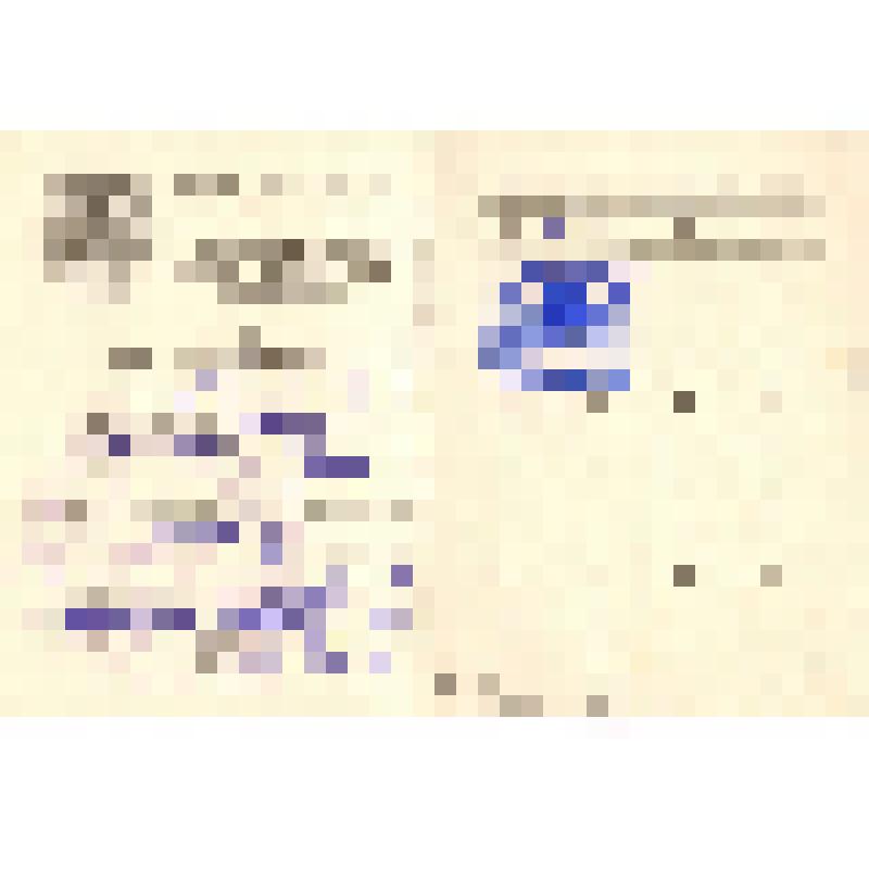 Билет членский И.П. Новосёлова в ДОСААФ СССР