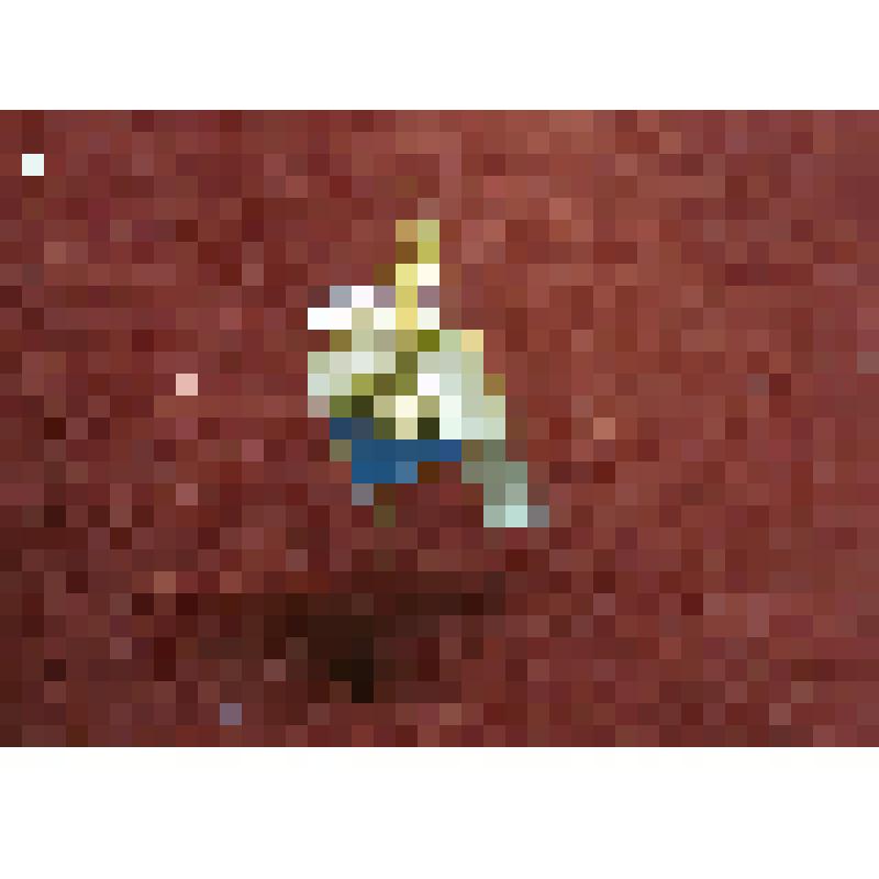 Значок. Ленинград. Ростральная колонна