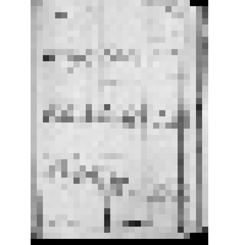 КОПИЯ РАПОРТА