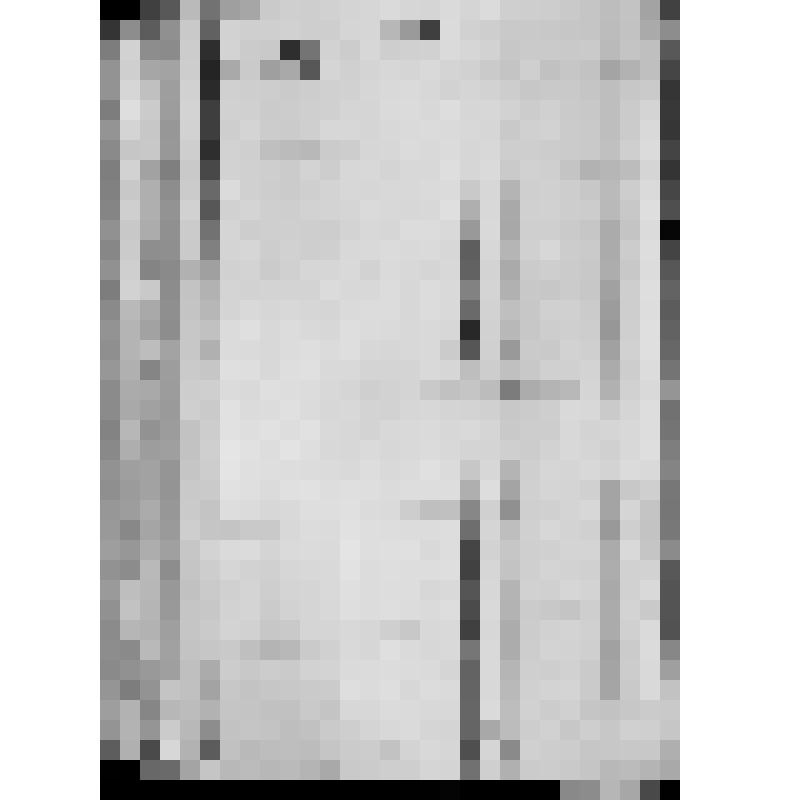 КОПИЯ РАПОРТА