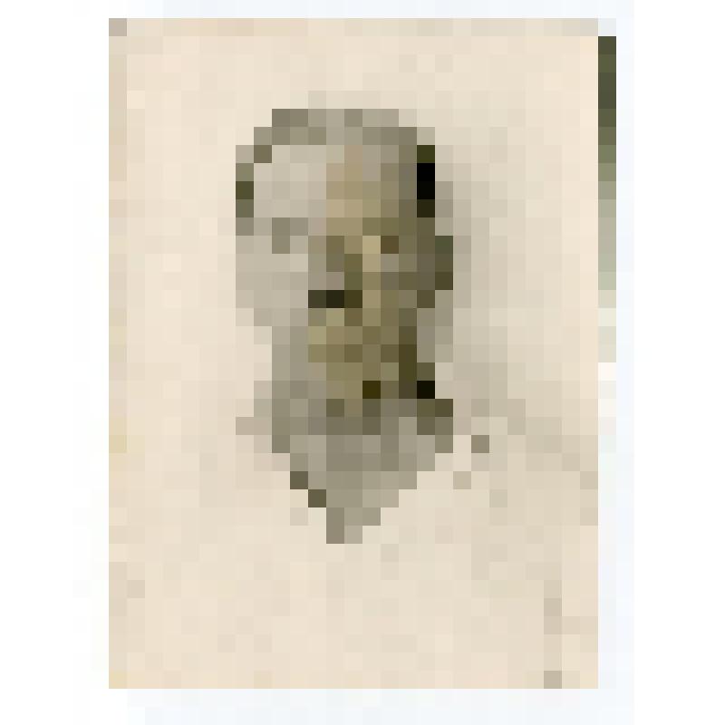 Фото портрет погрудный. Андрианов Михаил Иванович