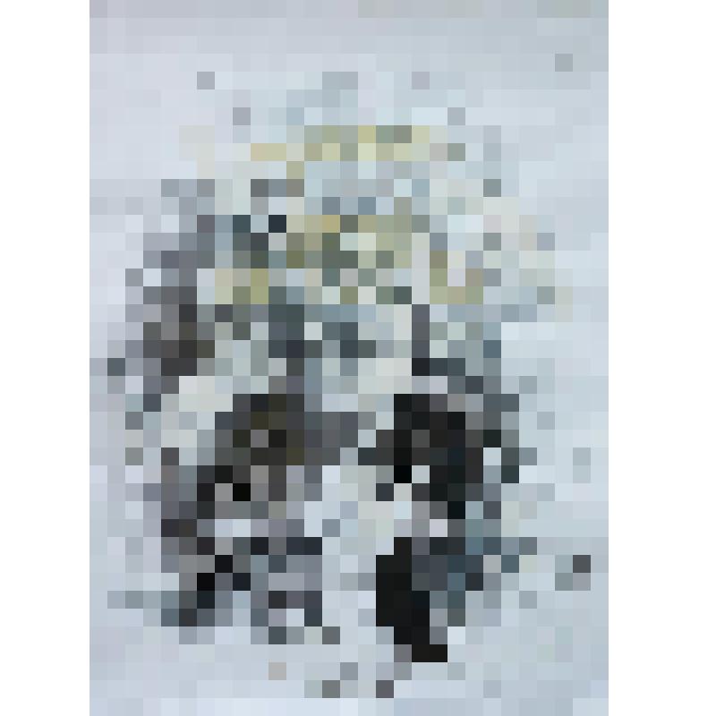 Диптих "Подготовка к свадьбе" картина "Скифская невеста", 2017 г