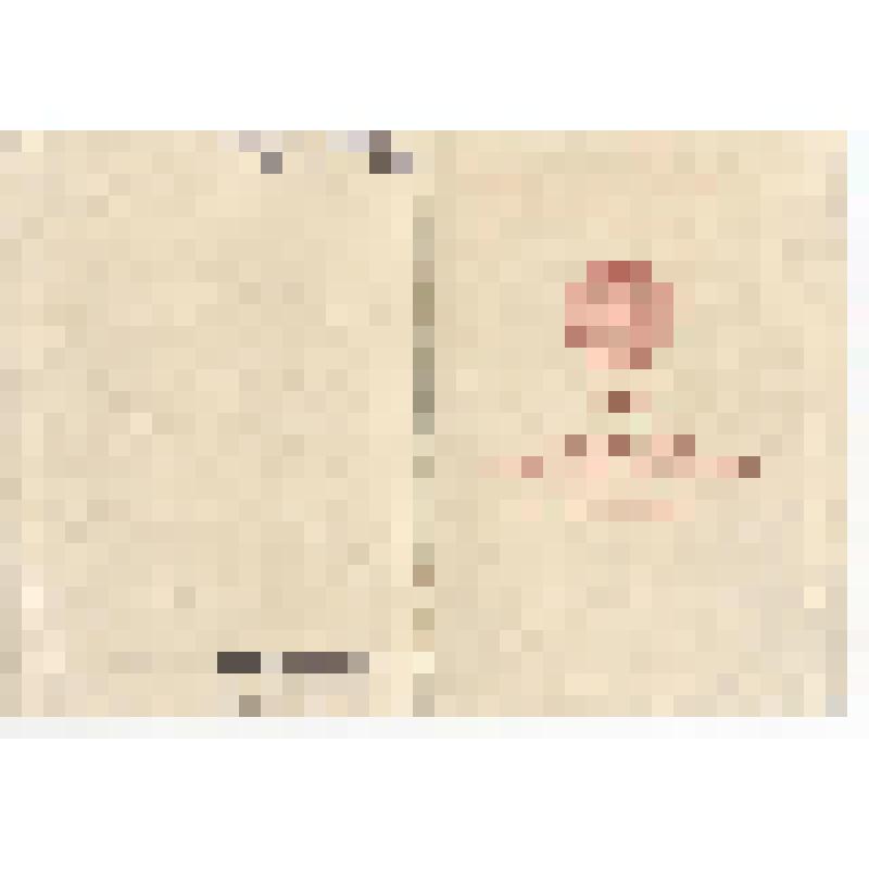 Документ. Удостоверение к медали "За доблестный и самоотверженный труд в период Великой Отечественной войны" Наумовой Марии Степановны Л №442645