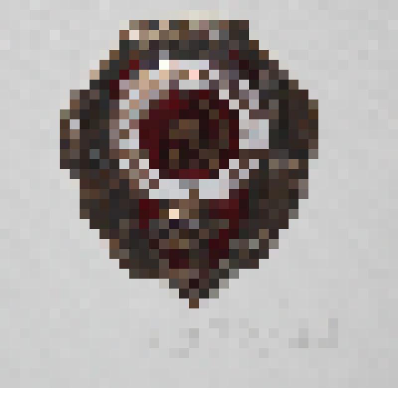 Нагрудный знак "Отличник санитарной службы"