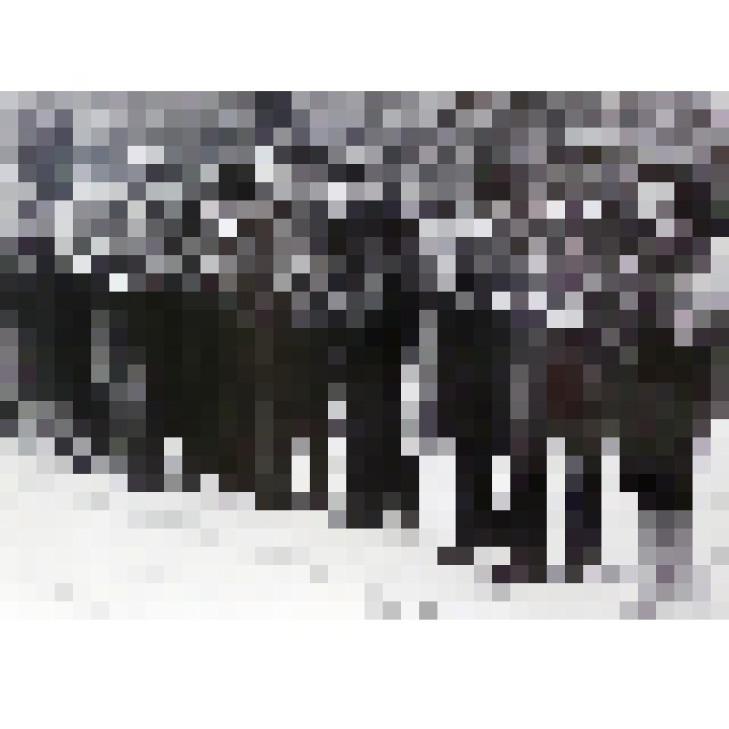 Фотография "К памятнику погибших воинов"