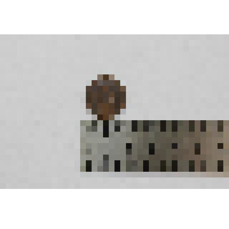 Монета. Денежка. ЕМ