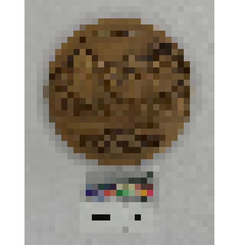 СССР. Медаль сувенирная. Музея Октября