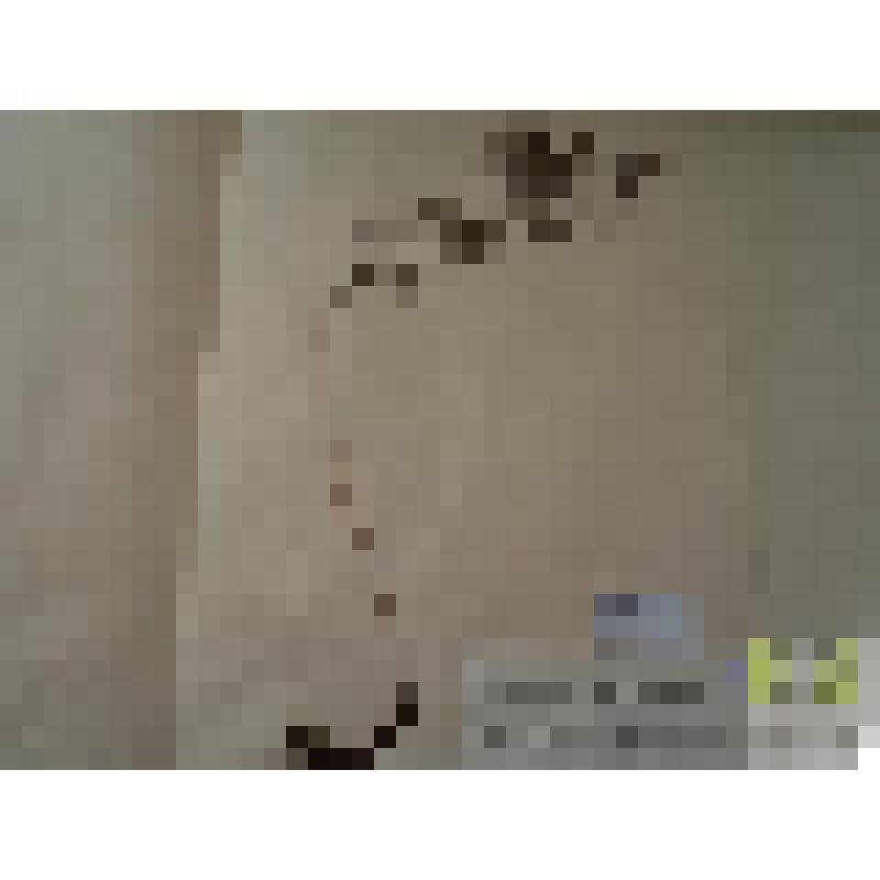 Герань кровяно-красная (Geranium sanguineum L.)