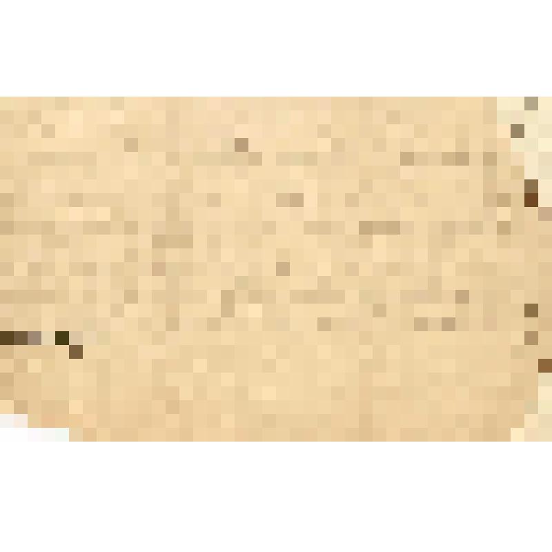 Письмо Н.П Алину от М.Федосеева, 25.12.1903 г