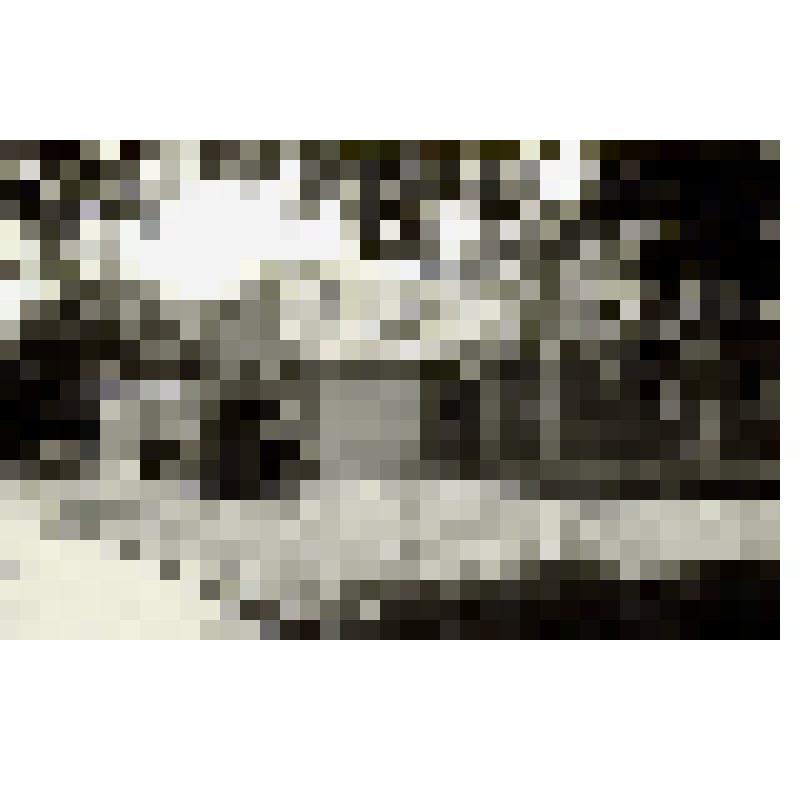 Фотография ч/б. Вид конюшни. Школа Олимпийского резерва. г.Ставрополь, 20 в. Автор: Чернов В