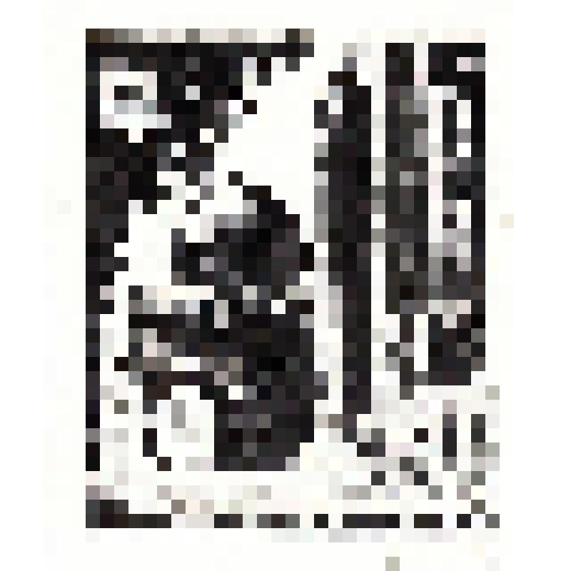 Экслибрис "Ex Libris В.Н. Кедрина"
