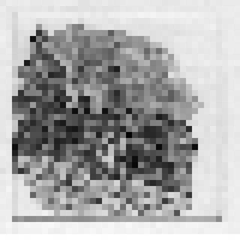 Слово о полку Игореве. Заставка