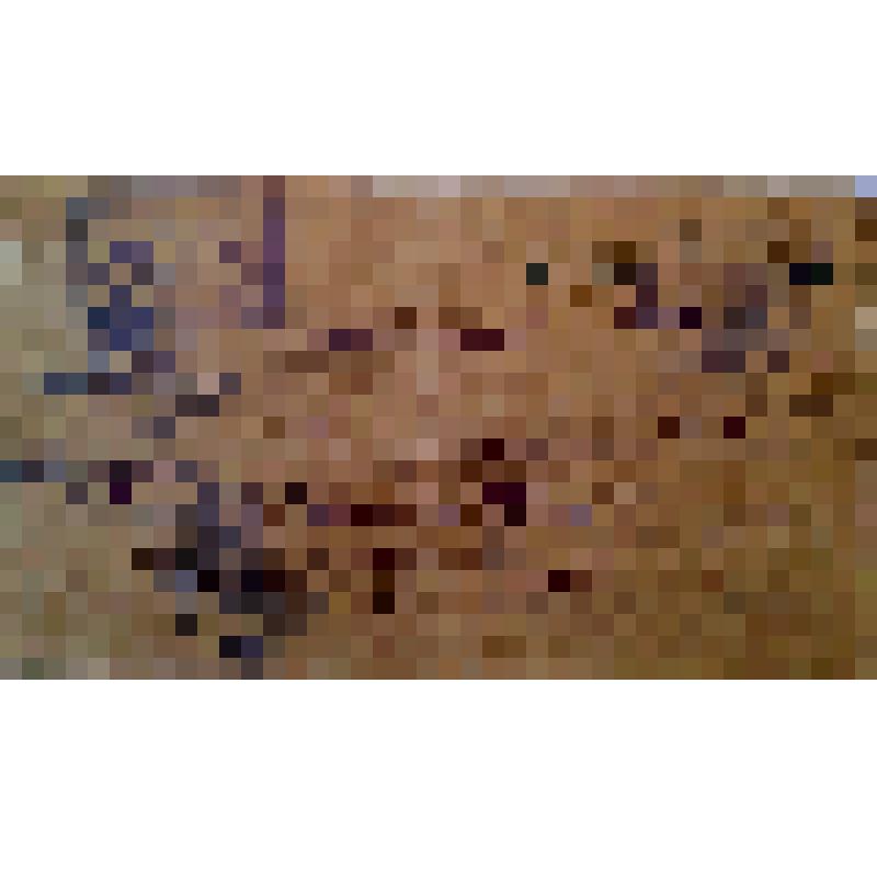 Удостоверение №585 военно- строительного отряда выдано  старшему технику строителя 32 военно- строительного отряда Яшкову  Я.Е. с  закреплением за ним оружия АД 8554