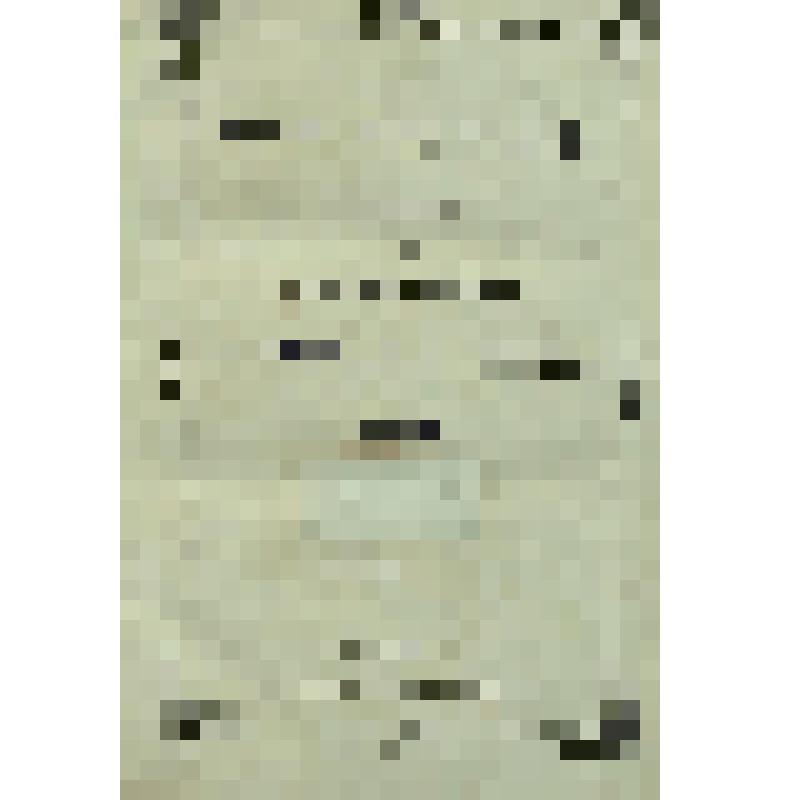 Книга. Т. 2. Беседы на псалмы, переведенные с греческого при С. Петербургской духовной академии : Т. 1-2. Санкт-Петербург. В типографии Департамента уделов. 1860. 2 т