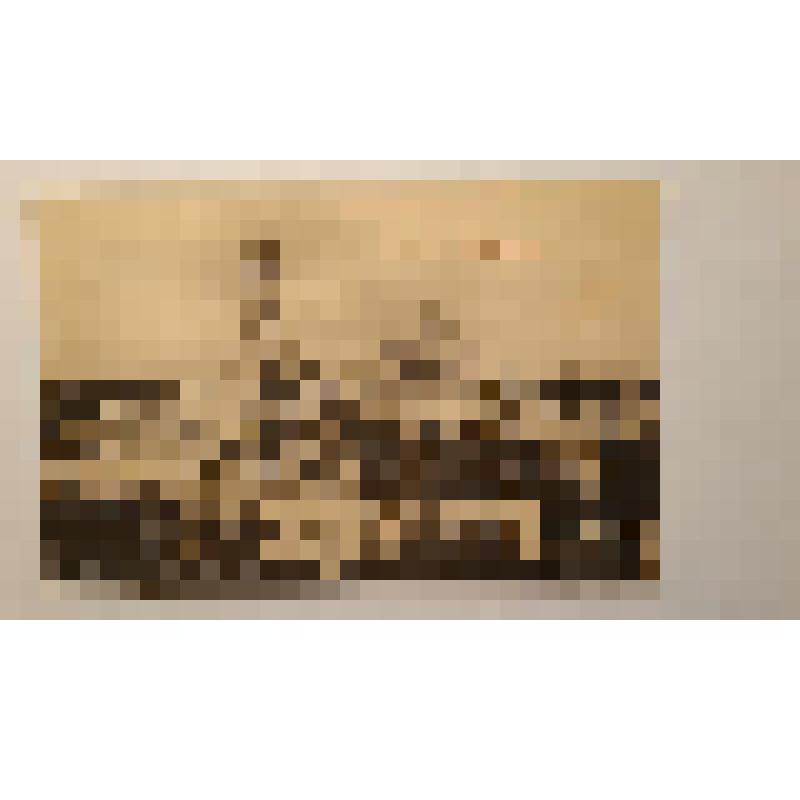 Киево-Печерская лавра, ул. Январского восстания, 25. XI век. Украина, г. Киев. Киево-Печерская лавра. Панорамный вид. Фототипия Шерер, Набгольц и Ко, Москва