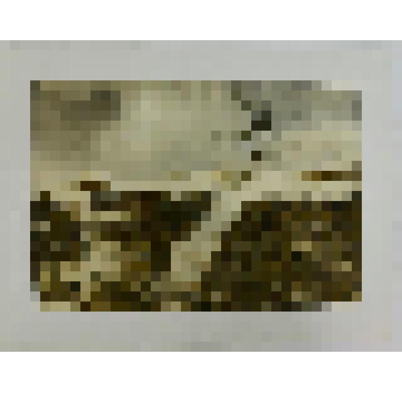 Акварель. Весточка