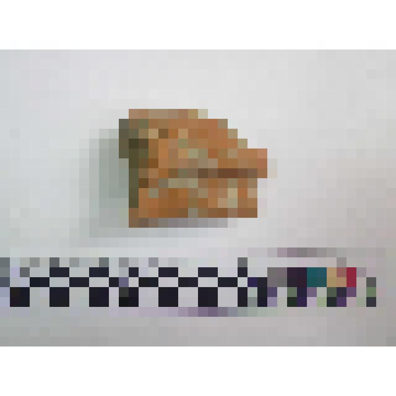 Фрагмент ручки оранжевоглиняной амфоры