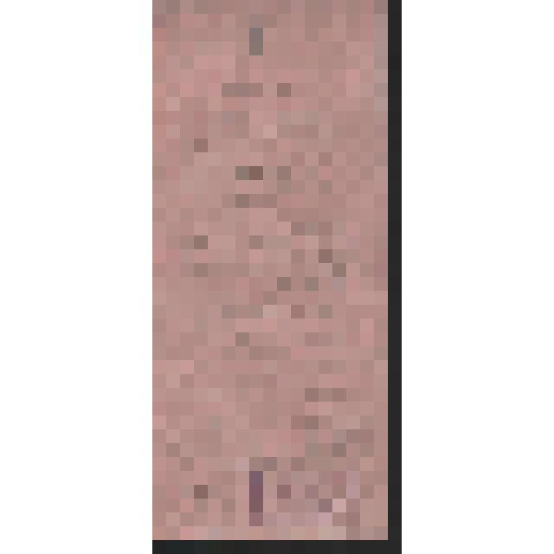 Программа вечера встречи с участниками художественной самодеятельности клуба  Воткинского завода в Клинском Государственном Доме-музее  П.И. Чайковского. 31.05.1942 г. УАССР, г. Воткинск