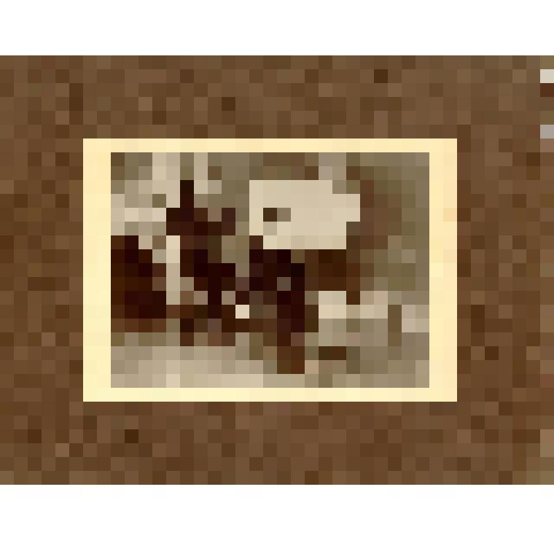 Фотография. Ландовска Ванда у Л.Н.Толстого в Ясной Поляне