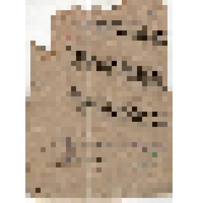 Мандат Мирзы Ходжаева - члена Комиссии Туркцика по борьбе с последствиями голода и Председателя П/комиссии по восстановлению сельского хозяйства Ферганы