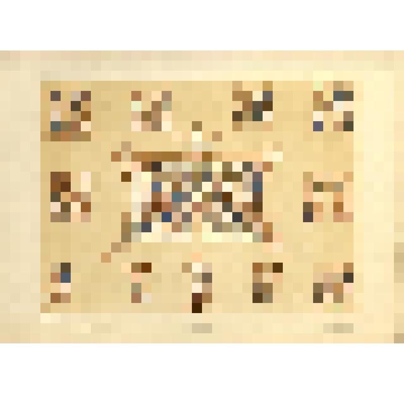 Лист XLV (45). Русский орнамент XIV в. Из альбома «История русского орнамента. С X по XVI столетие. По древним рукописям»