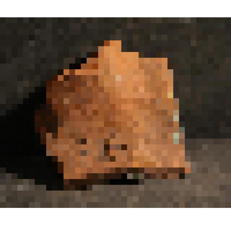 Изразец облицовочный рельефный полихромный. Правая верхняя часть композиции  «Попугай и фрукты».Фрагмент