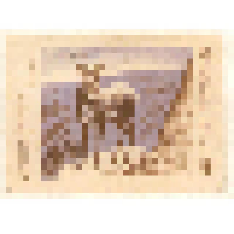 Коллекция спичечных этикеток Павла Немцова. "Кабарга"