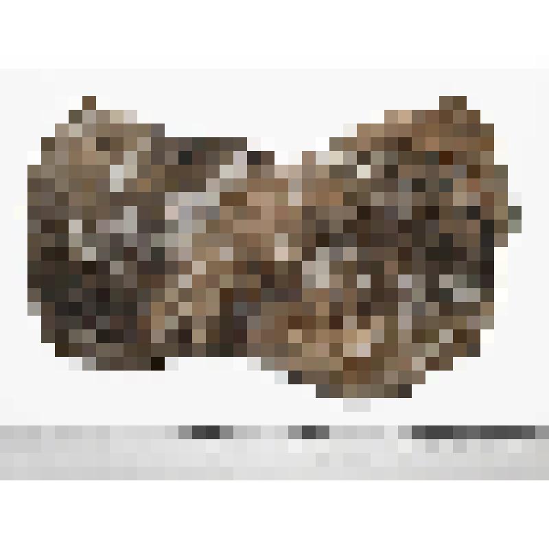 Палеонтологический образец. Фрагмент ствола окаменевшего дерева. Pinóphyta или Coníferae