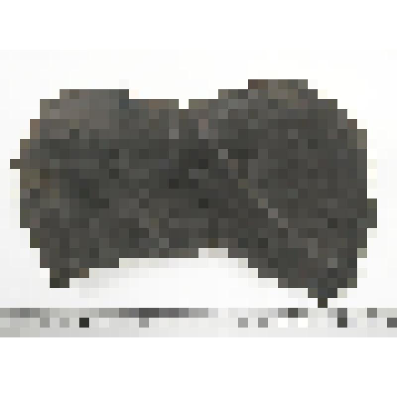 Палеонтологический образец. Фрагмент ствола окаменевшего дерева. Pinóphyta или Coníferae