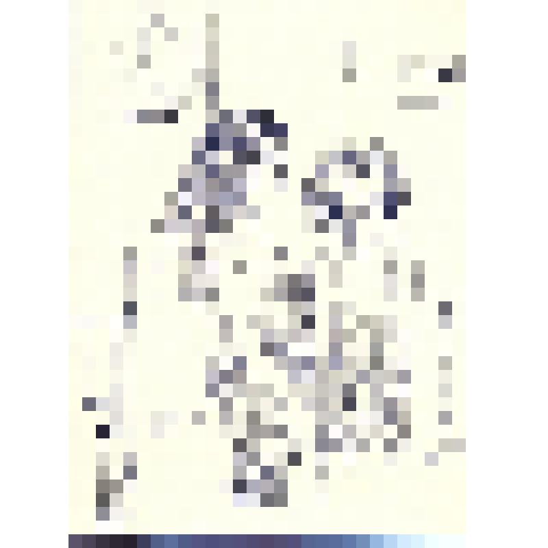 Рисунок "Рим"