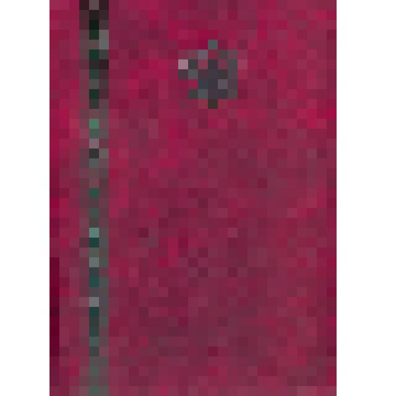 Грамота почетная чувашского комитета защиты мира на имя Ефимова Георгия Андреевича