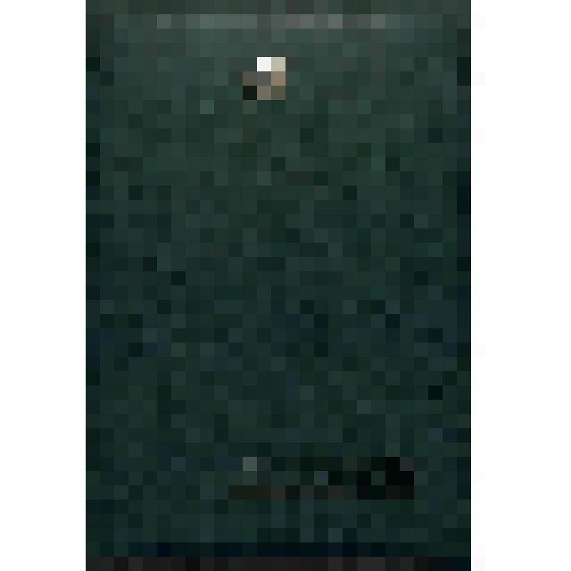 Приветственный адрес Президенту - Главе Правительства Республики Тыва  от Вице Президента Россельхозакадемии председатель СО Россельхозакадемии академик П.А. Гончаров