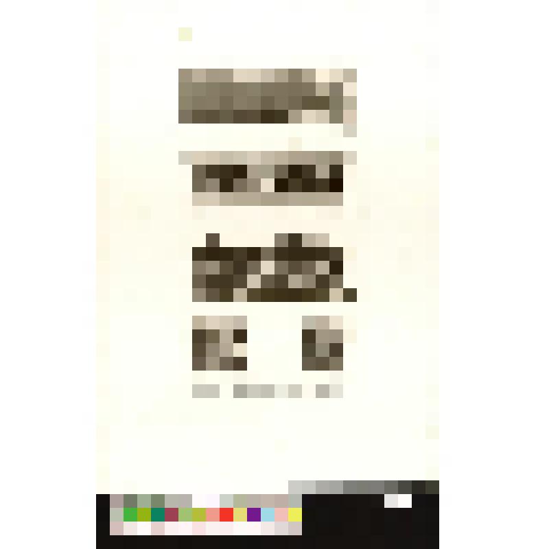 Саркофаг Александра Карола, брата Владислава IV