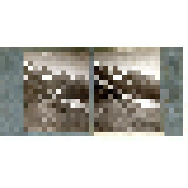 Карточка для стереоскопа «Вид Домбай-Ульгенского ущелья с Буульгенского перевала». Из коллекции «Кавказ» с видами природы Западного Кавказа, серии 2-№23. Автор фото Н.Л. Минервин