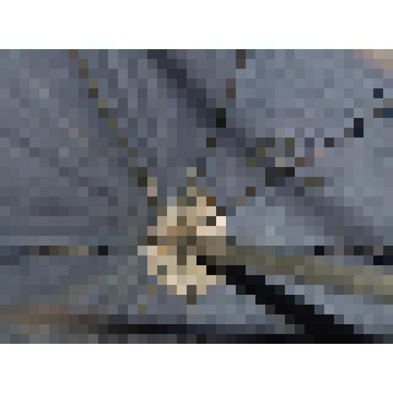 Зонт темно-синий мужской